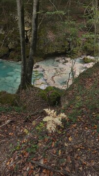 The urederra river in navarra, spain