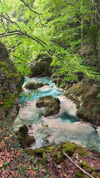 The urederra river in navarra, spain