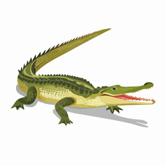 Obraz premium Gharial, eine große fischfressende Krokodilart des indischen Subkontinents