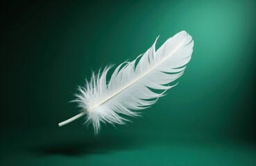 Fototapeta premium A white feather floats against a smooth green background