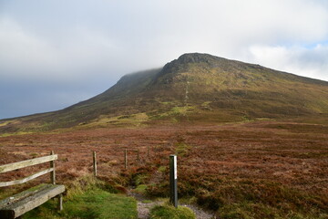 Pasture fencing in mountains, The Gap, Nire Valley, Comeragh Mountains 