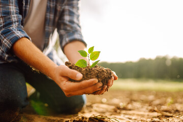 A close-up of a gardener holding a young plant in a farm field. A young farmer plants a seedling...
