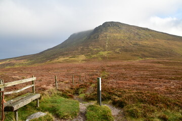 Pasture fencing in mountains, The Gap, Nire Valley, Comeragh Mountains 