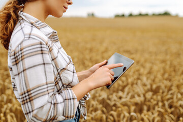 Female farmer in golden wheat field with digital tablet at sunset. Experienced female agronomist...