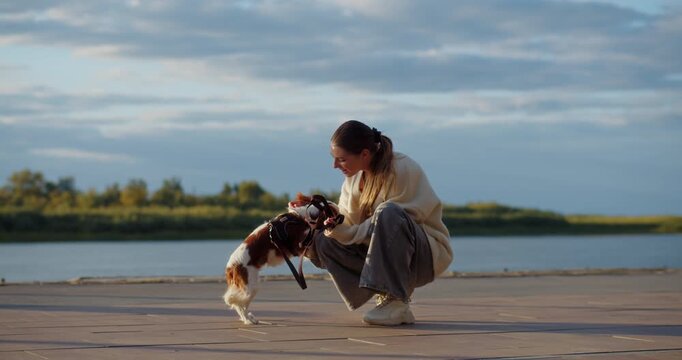Woman training dog on riverside platform