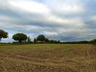 field and sky