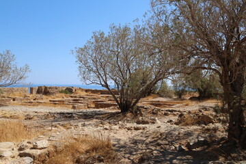 Ruine des venezianischen Kastell SELINO in Paleochora auf Kreta