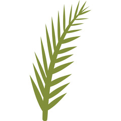 A Single Olive Leaf Branch with Numerous Small Elongated Green Leaves Against a Clean White Background with a Transparent Overlay.