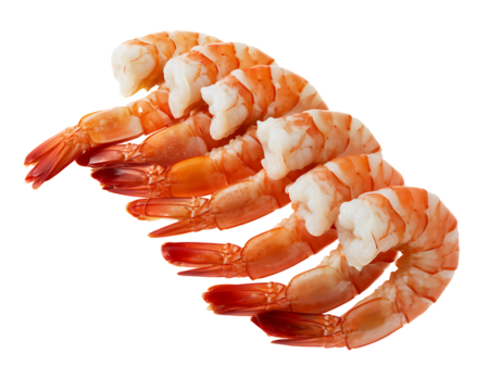Freshly cooked shrimp arranged in a curved line on a black background