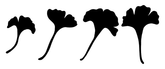 Ginkgo Leaves Silhouette Set, Black Botanical Leaf Vector Illustration