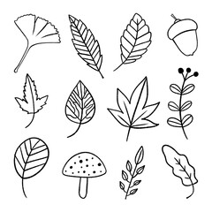 Fototapeta premium Decorative Fall Leaf Doodle Art, Hand-Drawn Autumn Botanical Line Illustration