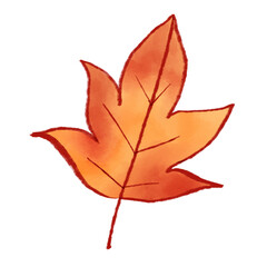 Watercolor autumn leaves in orange color isolated on a background. Hand Drawn fall-themed elements vector illustration