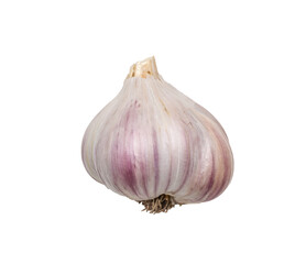 Fresh Garlic Bulb Isolated on Transparent Background for Culinary and Health Uses