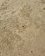 
It's a beach with sand balls made by crabs.