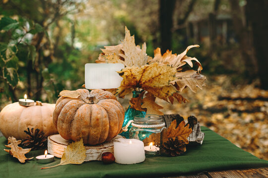 Atmospheric cozy autumn composition. Pumpkins, fall leaves, chestnut, candels. Thanksgiving day. Elegant rustic decor. Concept of cozy fall home atmosphere, aromatherapy. Copyspace.
