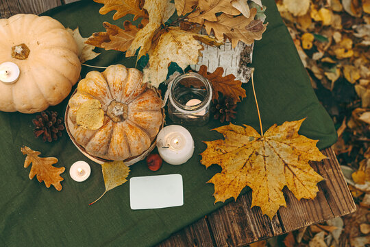 Atmospheric cozy autumn composition. Pumpkins, fall leaves, chestnut, candels. Thanksgiving day. Elegant rustic decor. Concept of cozy fall home atmosphere, aromatherapy. Copyspace.