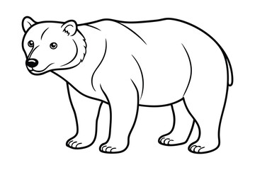 Fototapeta premium Bear Line Art Illustration | Wild Animal Outline Drawing Design