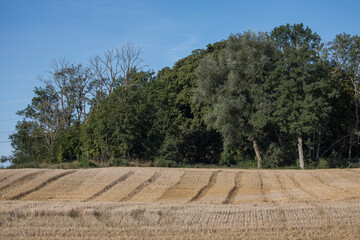 Meadows after autumn harvest