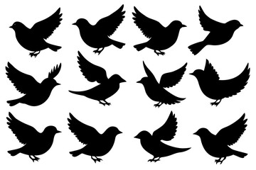 set of Bird Silhouette Vector Collection 