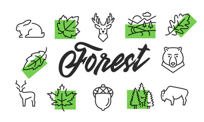 Forest poster. Forest poster design with Leaf, Deer, Trees, Bear, Landscape icons. Simply poster for presentations, covers. Banner template. Vector illustration.