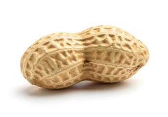 Whole peanut in textured shell, isolated on white, showcasing natural snack food