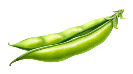 Fresh green fava bean pods on white background, cut out transparent