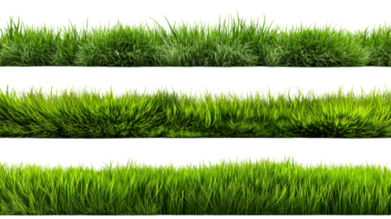 Three Horizontal Strips of Lush Green Grass Blades, cut out transparent