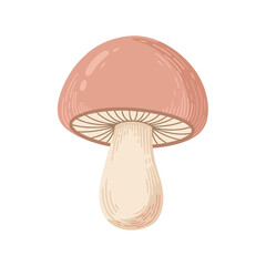 Pink mushroom illustration on white background  