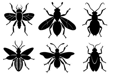 Insect Silhouette Vector Icons Pack Isolated on White Background