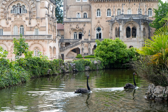 Lusso, Portugal. Beautiful gardens and pond at the Bussaco Palace.