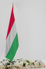 Independence Day of Hungary. Flag of Hungary on a white background