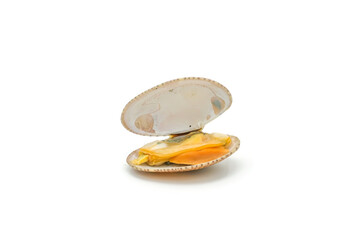 Closed up fresh baby clams. venus shell. shellfish. carpet clams. short necked clams. as raw food from the sea are the seafood ingredients. fresh clams Background.
