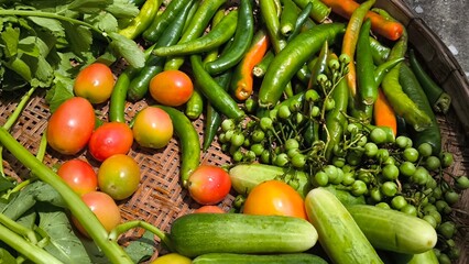 Fresh vegetables for cooking. Vegetables contain dietary fiber that helps cleanse the intestines.