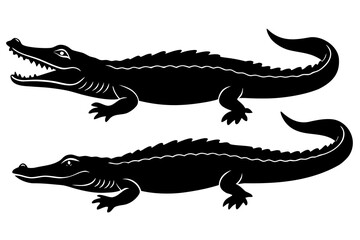 Crocodile swimming silhouette illustration isolated on white background