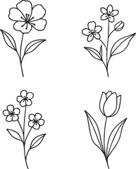 Four minimalist black line floral sketches on white. Each quadrant features a unique flower rounded bloom, small sprigs, clustered petals, and a tulip bud arranged evenly in a clean grid layout.