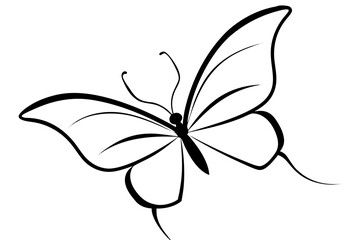 line art Butterfly flying silhouette illustration isolated on white background