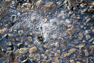 地面の小石と土の上にできた薄い氷のテクスチャ