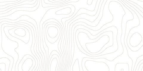Topography background. Vector banner. Topography map background. Vector geographic contour map. Background of the topographic map. Topographic map lines, contour background.	