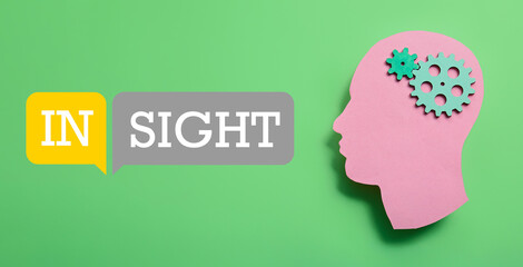 Paper human head with gears and word INSIGHT on green background