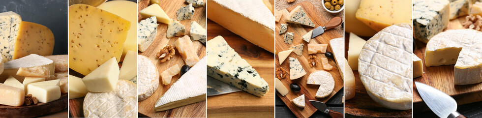 Different types of tasty cheese, nuts and grapes on light background
