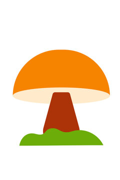 Simple, colorful orange and brown mushroom illustration with cream underside with moss. Minimalist design of edible fungus for autumn, nature, cooking, foraging, and botanical designs. High-res PNG