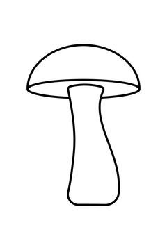 Simple mushroom illustration outline. Black and white flat design fungus for autumn, nature, forest, woodland, cooking, foraging, children, and botanical designs. High-res PNG