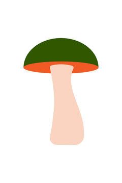 Simple mushroom illustration with dark green cap, orange underside, and pale pink stem. Colorful flat design fungus for autumn, nature, forest, cooking, foraging, and botanical designs. High-res PNG