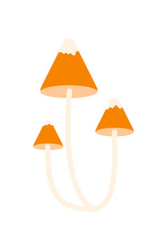 Fototapeta Psychedelic magic mushrooms vector illustration with yellow caps and long stems. Modern vector design perfect for fantasy art, forest themes, autumn decor and mystical nature projects. High-res