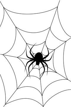 Black widow, spider on intricate web with curved lines. Halloween spider web design in black and white for spooky decorations, haunted house themes, and October holiday illustrations. High-res PNG
