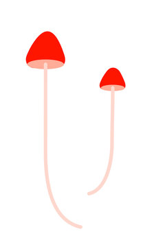 Psychedelic magic mushrooms vector illustration with red caps and long stems. Modern botanical vector design perfect for fantasy art, forest themes, autumn decor and mystical nature projects. High-res