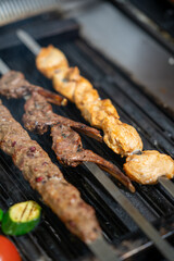 Mixed Grilled Kebabs on Skewers