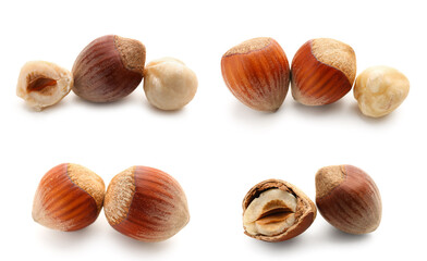 Set of tasty hazelnuts on white background