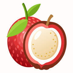 Half Litchi Slice Vector