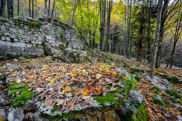Ruins of a house in the middle of a forest in autumn. An autumnal landscape that demonstrates the blend of nature and history in Friuli Venezia Giulia, Lusevera, Udine, Italy.